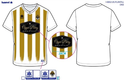 TEAM SHIRT QUICK_TRANSFER LUANVI SPORT